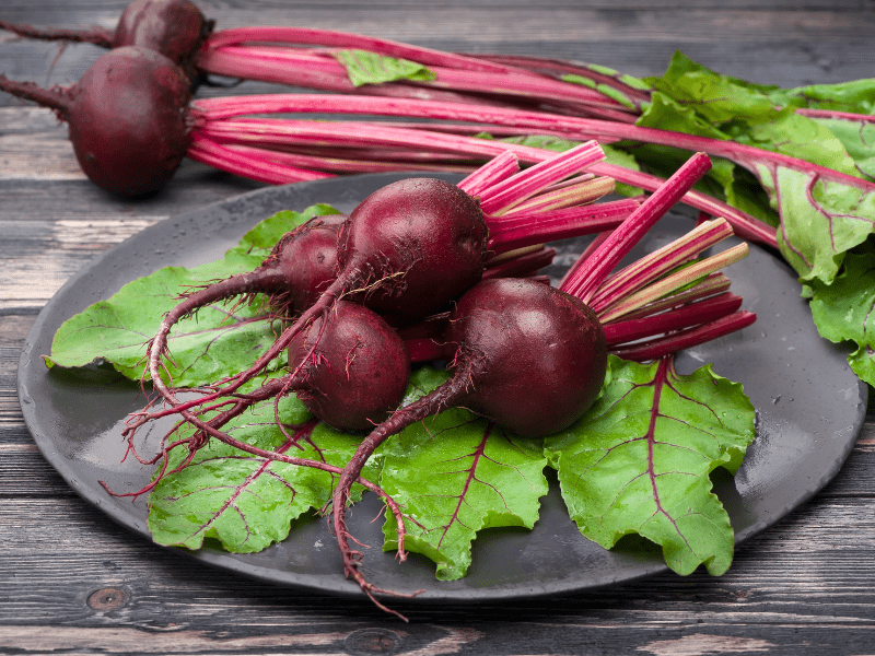 Red beetroot lying on a plate. Grown and cared for by a beginner gardener